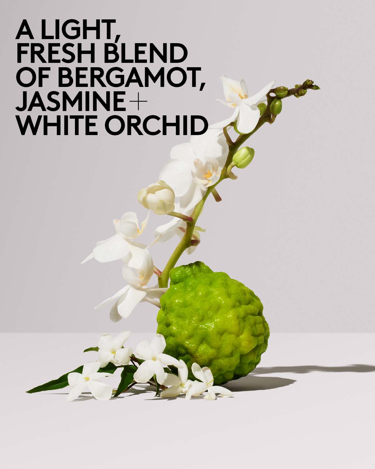 Butta Drop Hydrating Body Milk ?? Fenty Fresh - Image 7